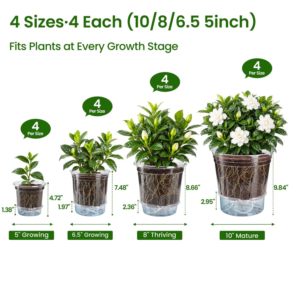 Bluepro Clear Nursery Pots with Humidity Domes, 4 Inch, 30-Pack Father Jim Norris notebooks