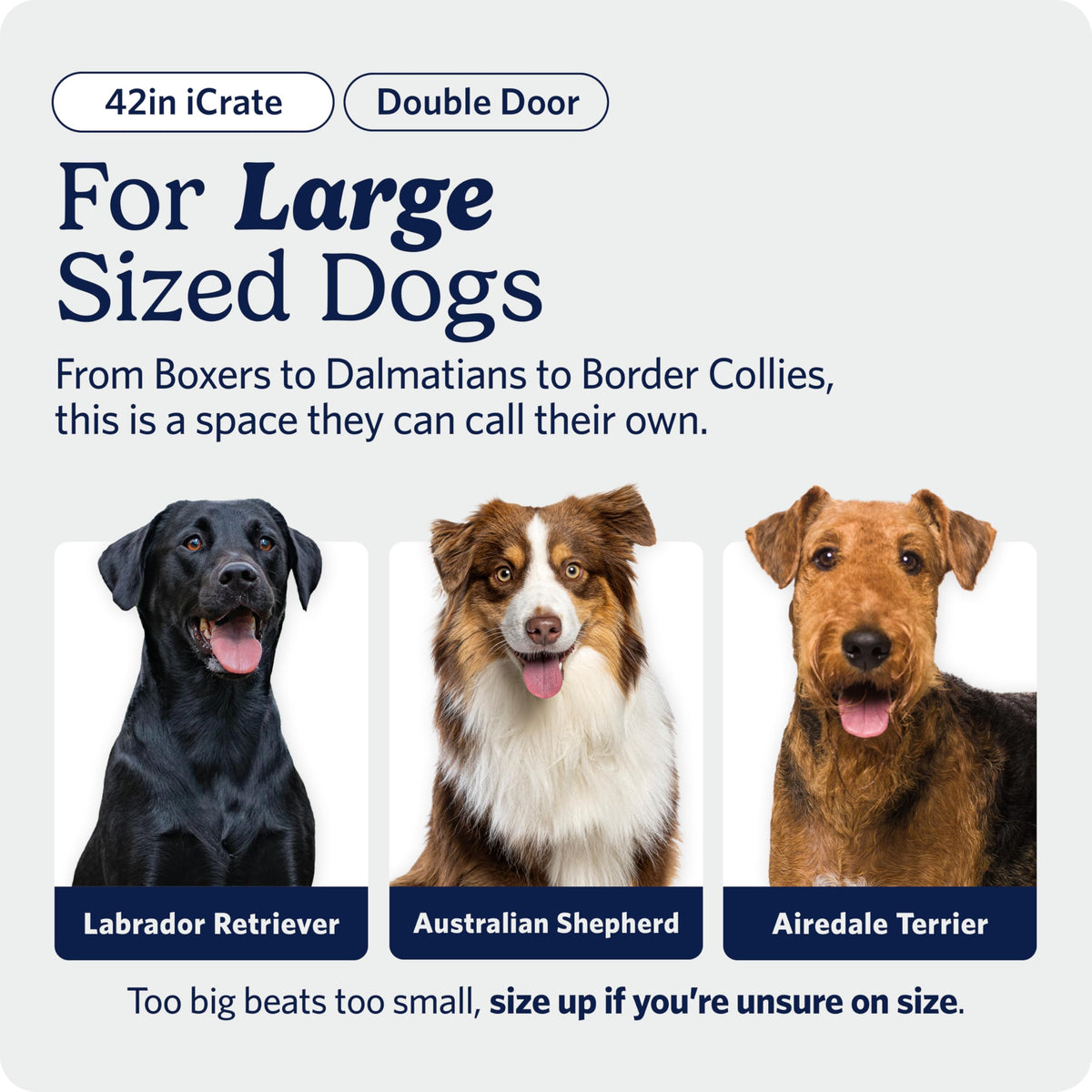 Midwest 36-Inch Single Door iCrate, for Medium-Large Breeds, 41-70 lbs