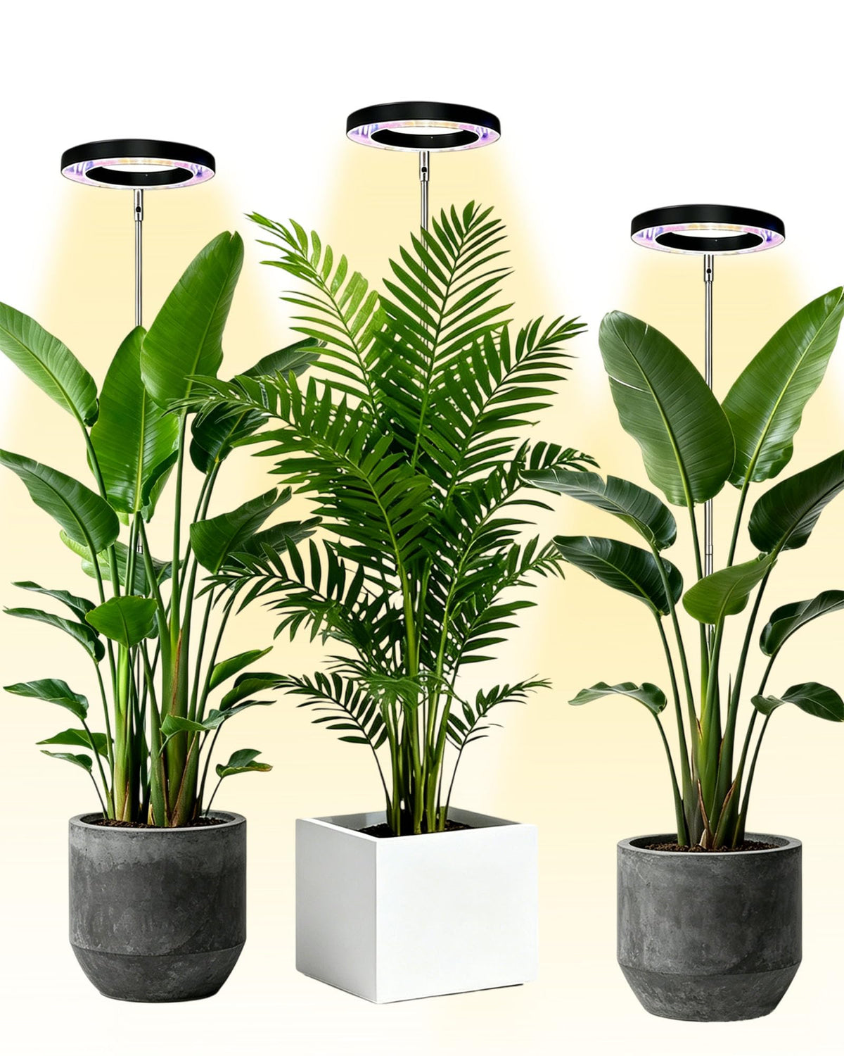 Yadoker 144 LEDs Full Spectrum Plant Grow Light for Indoor Plants,Height Adjustable, 6.3" Aluminum Housing,Automatic Timer with 8/12/16 Hours,10-Level Brightness,Black Plant Light with Base,2 Pack Father Jim Norris notebooks