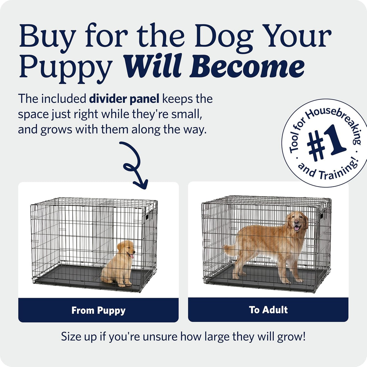 Midwest 36-Inch Single Door iCrate, for Medium-Large Breeds, 41-70 lbs
