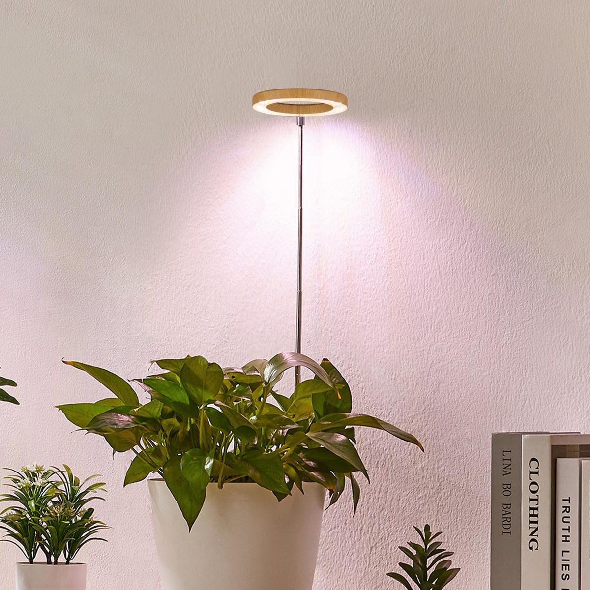 Yadoker 144 LEDs Full Spectrum Plant Grow Light for Indoor Plants,Height Adjustable, 6.3" Aluminum Housing,Automatic Timer with 8/12/16 Hours,10-Level Brightness,Black Plant Light with Base,2 Pack Father Jim Norris notebooks
