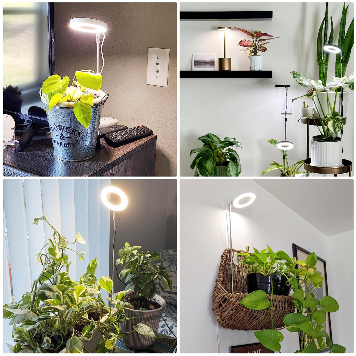 Aokrean Grow Lights for Indoor Plants Growing, Full Spectrum with Base Father Jim Norris notebooks