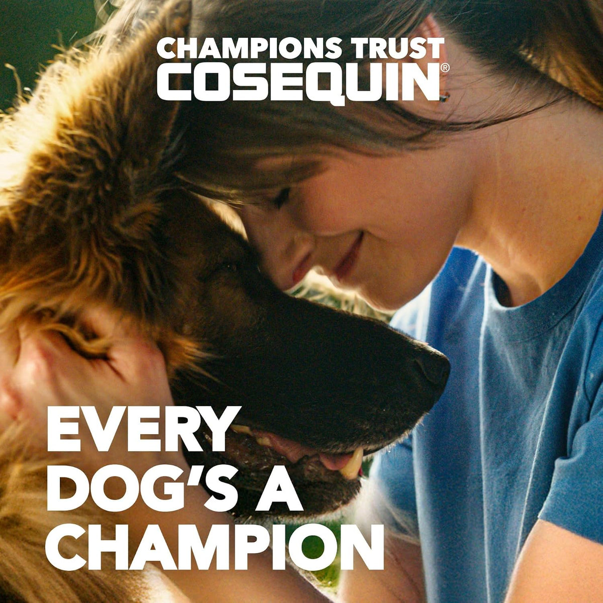 Nutramax Cosequin Joint Supplement for Dogs, Chewable Tablets, 132ct Father Jim Norris notebooks