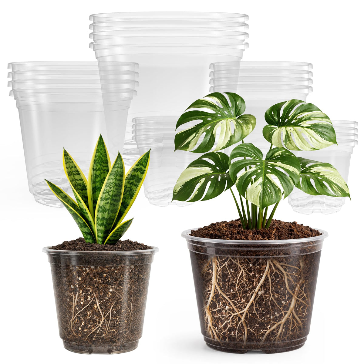 Bluepro Clear Nursery Pots with Humidity Domes, 4 Inch, 30-Pack Father Jim Norris notebooks