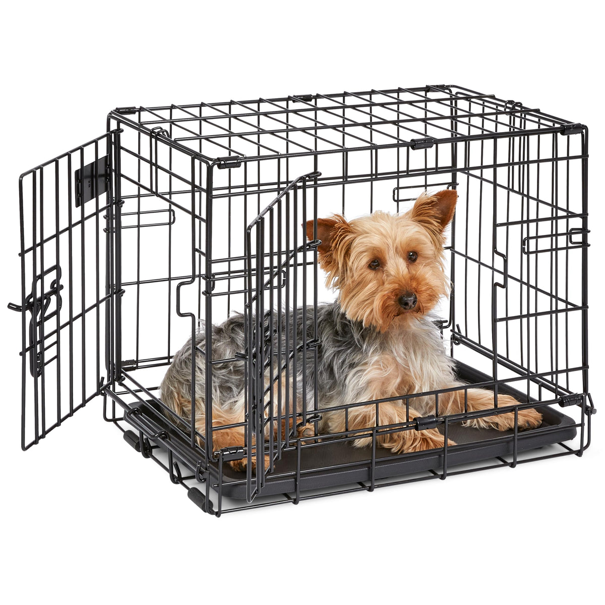 Midwest 36-Inch Single Door iCrate, for Medium-Large Breeds, 41-70 lbs
