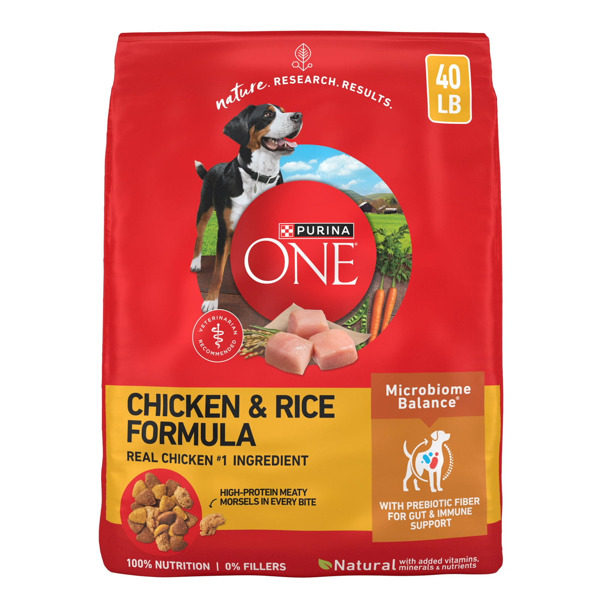 Purina ONE Lamb and Rice Formula Dry Dog Food for Digestive Support