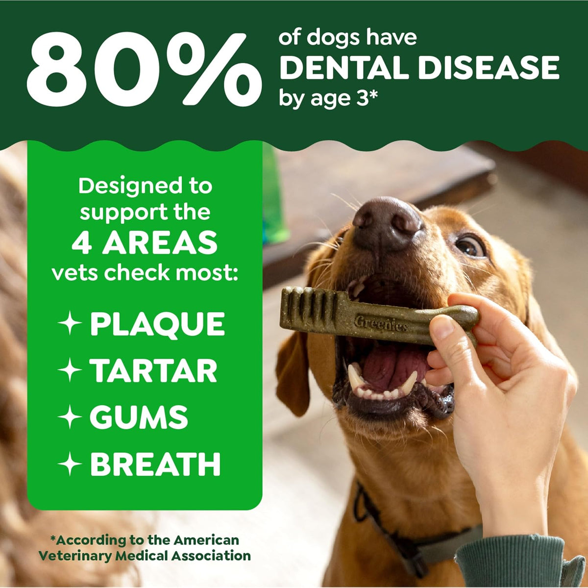 Greenies Teenie Original Natural Dental Dog Treats, Chicken, 96 Count Father Jim Norris notebooks