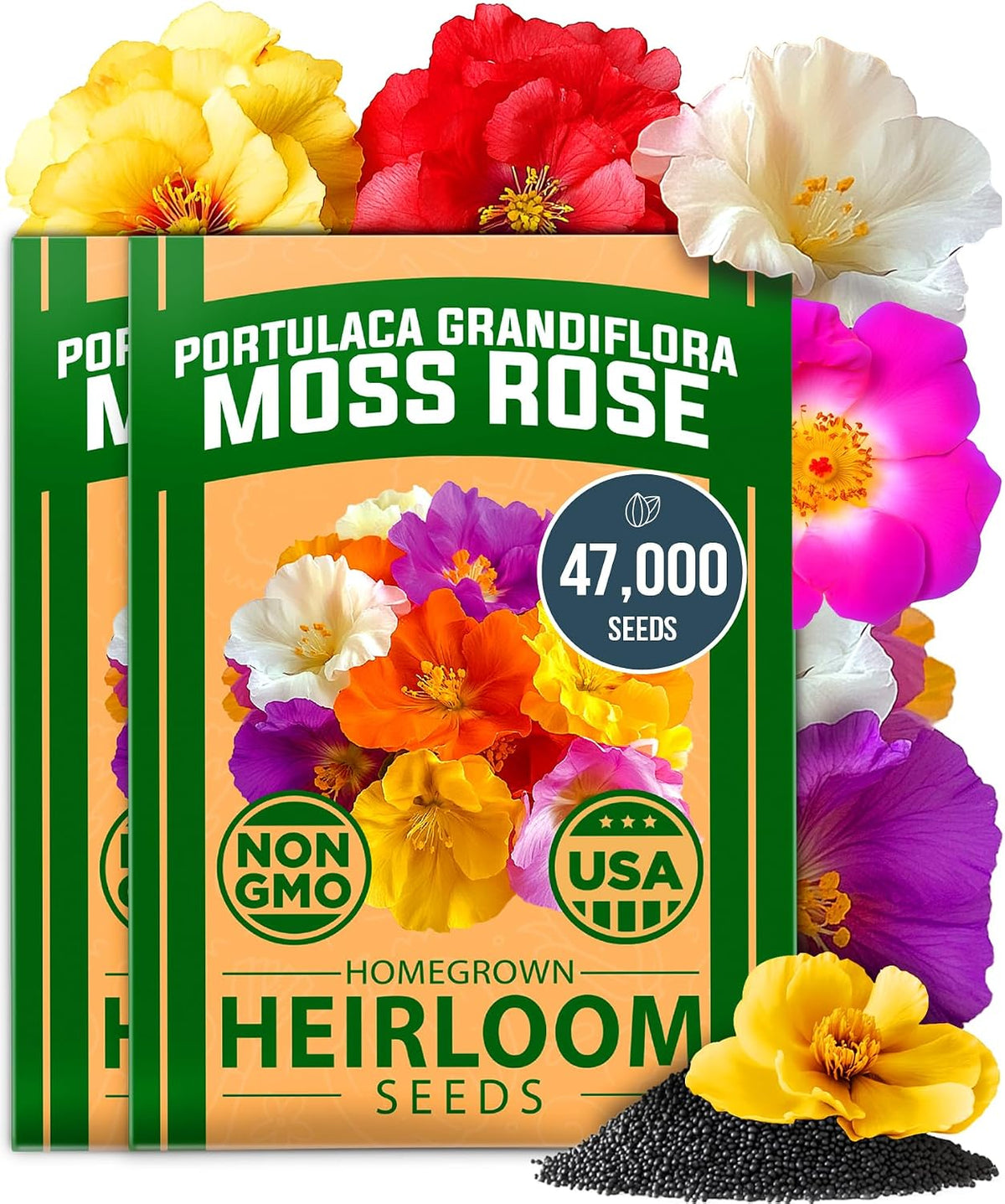 HOME GROWN 15 Herb Seed Variety Kit, 5100+ Seeds, Culinary Herb Kit Father Jim Norris notebooks