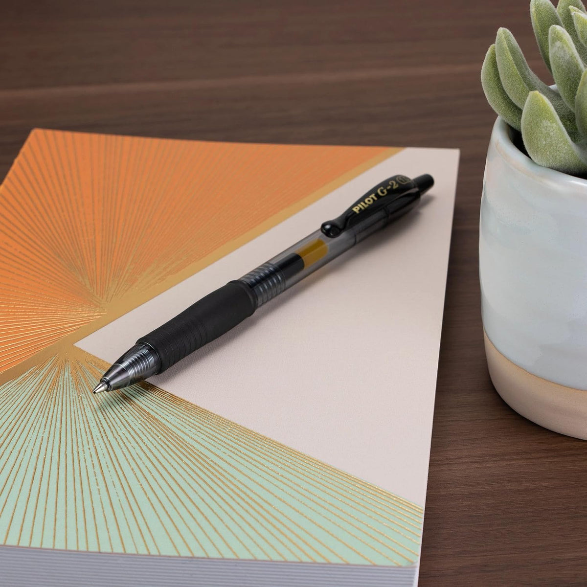 PILOT G2 Premium Gel Pens, Bold Point 1.0mm, Blue Ink, 12-Pack Father Jim Norris notebooks