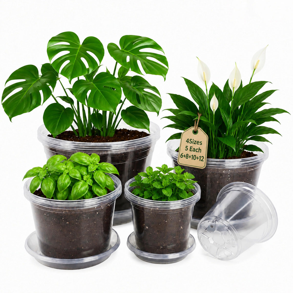 Bluepro Clear Nursery Pots with Humidity Domes, 4 Inch, 30-Pack Father Jim Norris notebooks