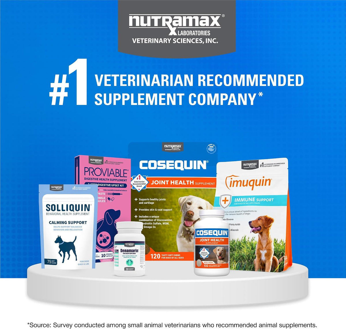Nutramax Cosequin Joint Supplement for Dogs, Chewable Tablets, 132ct Father Jim Norris notebooks