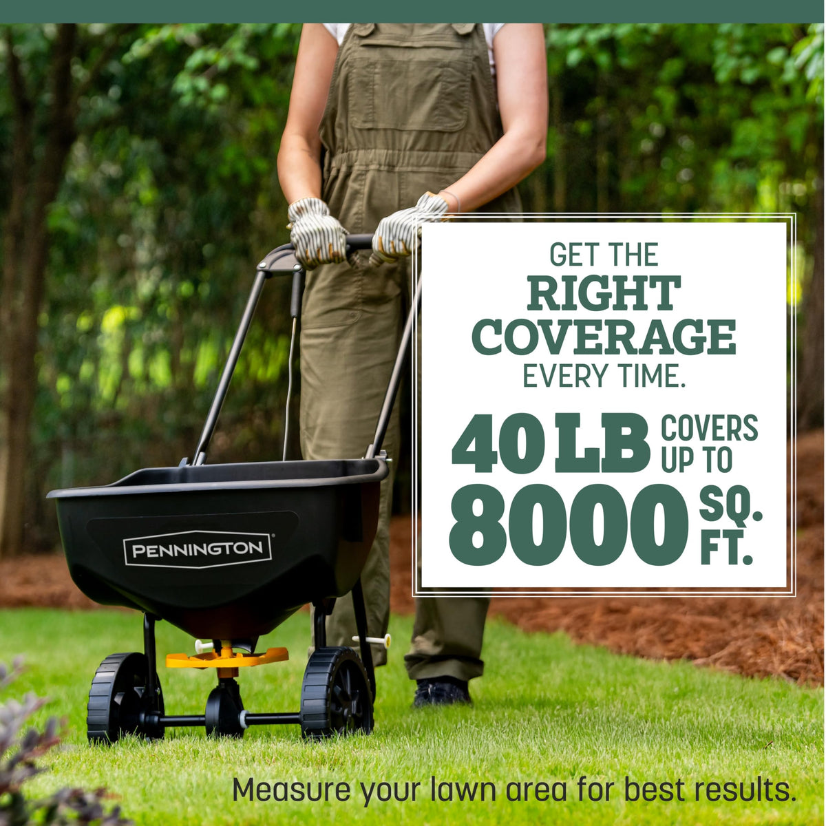 Pennington Kentucky 31 Tall Fescue Grass Seed, Drought-Resistant, 7 LB Father Jim Norris notebooks