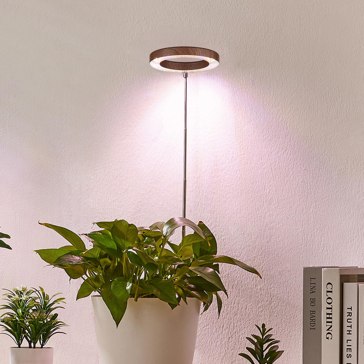Yadoker 144 LEDs Full Spectrum Plant Grow Light for Indoor Plants,Height Adjustable, 6.3" Aluminum Housing,Automatic Timer with 8/12/16 Hours,10-Level Brightness,Black Plant Light with Base,2 Pack Father Jim Norris notebooks