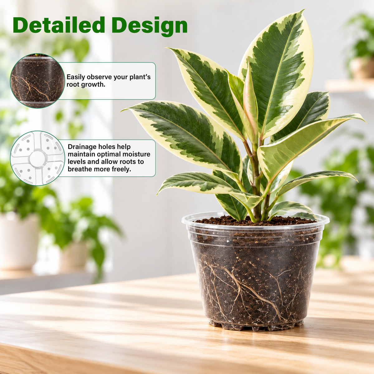 Bluepro Clear Nursery Pots with Humidity Domes, 4 Inch, 30-Pack Father Jim Norris notebooks
