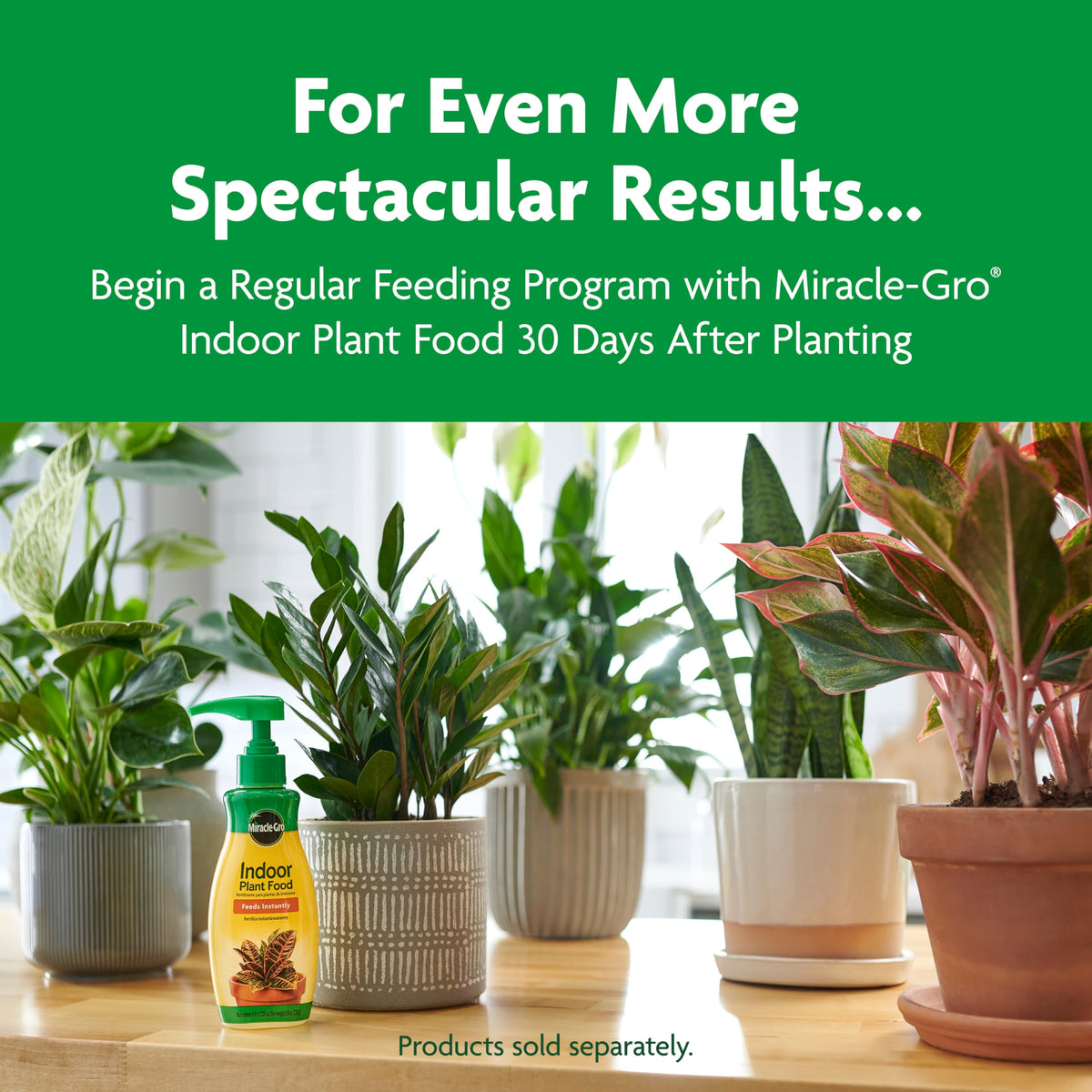 Miracle-Gro Indoor Plant Grow, Feed & Protect Houseplant Care Bundle Father Jim Norris notebooks