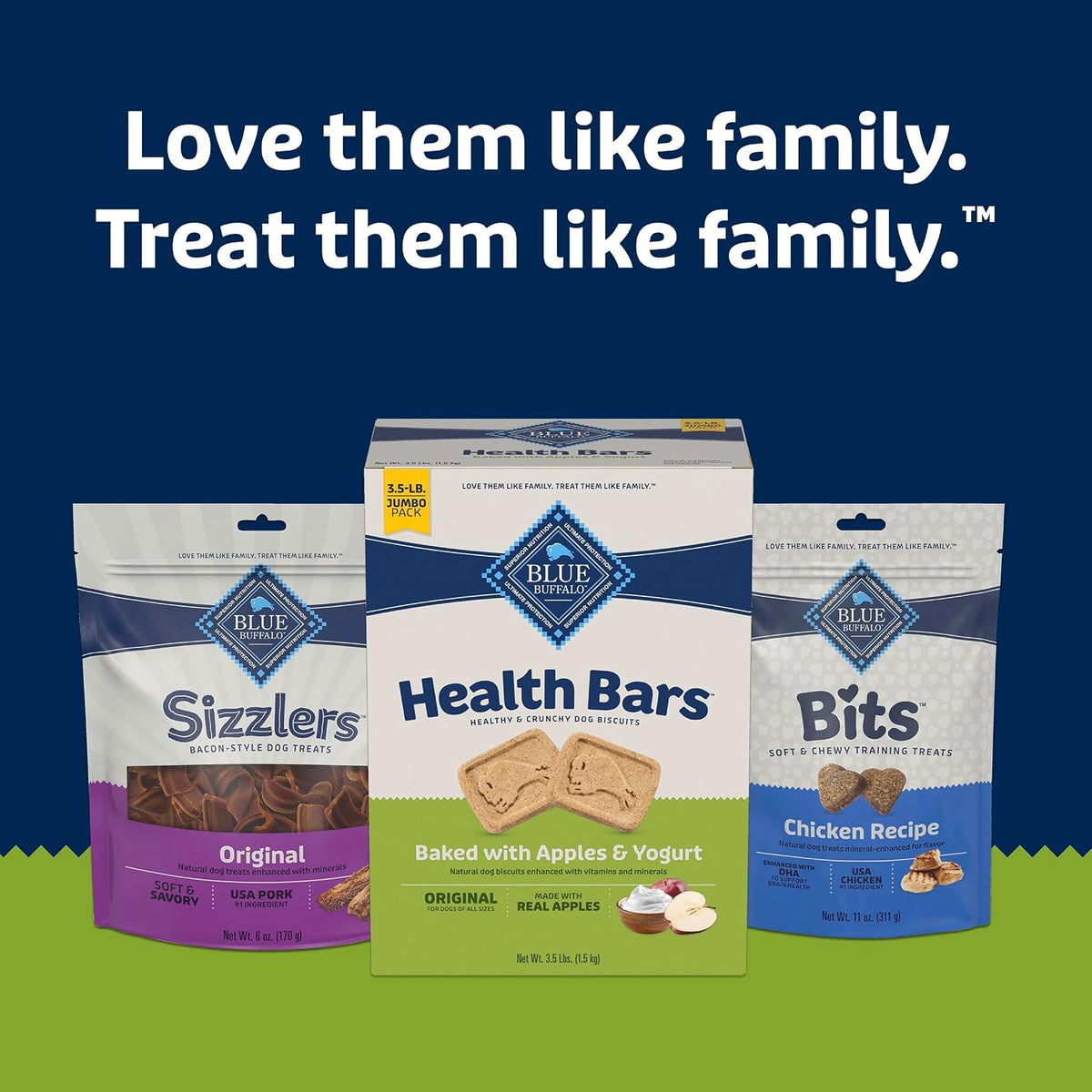 Blue Buffalo Health Bars Pumpkin & Cinnamon Dog Biscuits, 16 oz Father Jim Norris notebooks