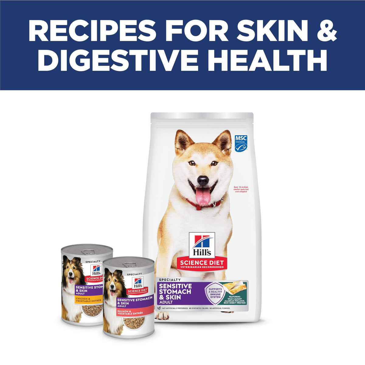 Hill's Science Diet Sensitive Stomach & Skin Dry Dog Food