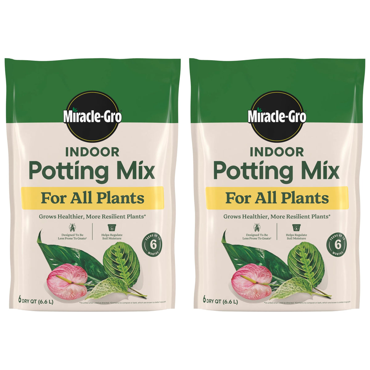 Miracle-Gro Indoor Plant Grow, Feed & Protect Houseplant Care Bundle Father Jim Norris notebooks