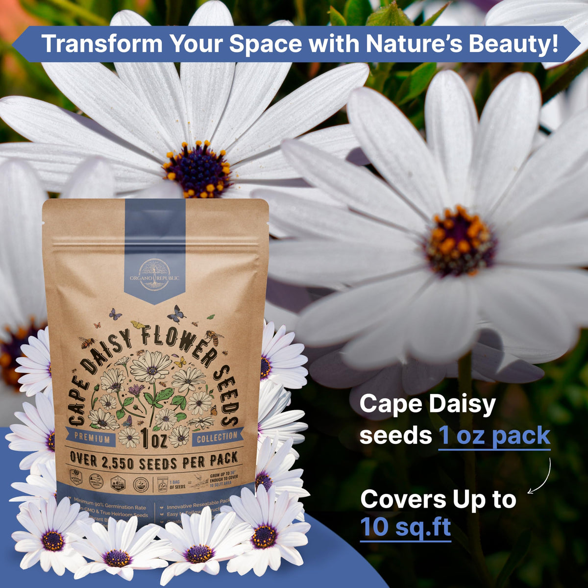 Cosmos Flower Seeds Pack 1 oz - 4,500 Non-GMO Heirloom Annual Seeds for Planting Indoor & Outdoor Gardening, Flower Seed for Garden in Resealable Packet, Floral Mix for Pollinators Perennial Mix Father Jim Norris notebooks