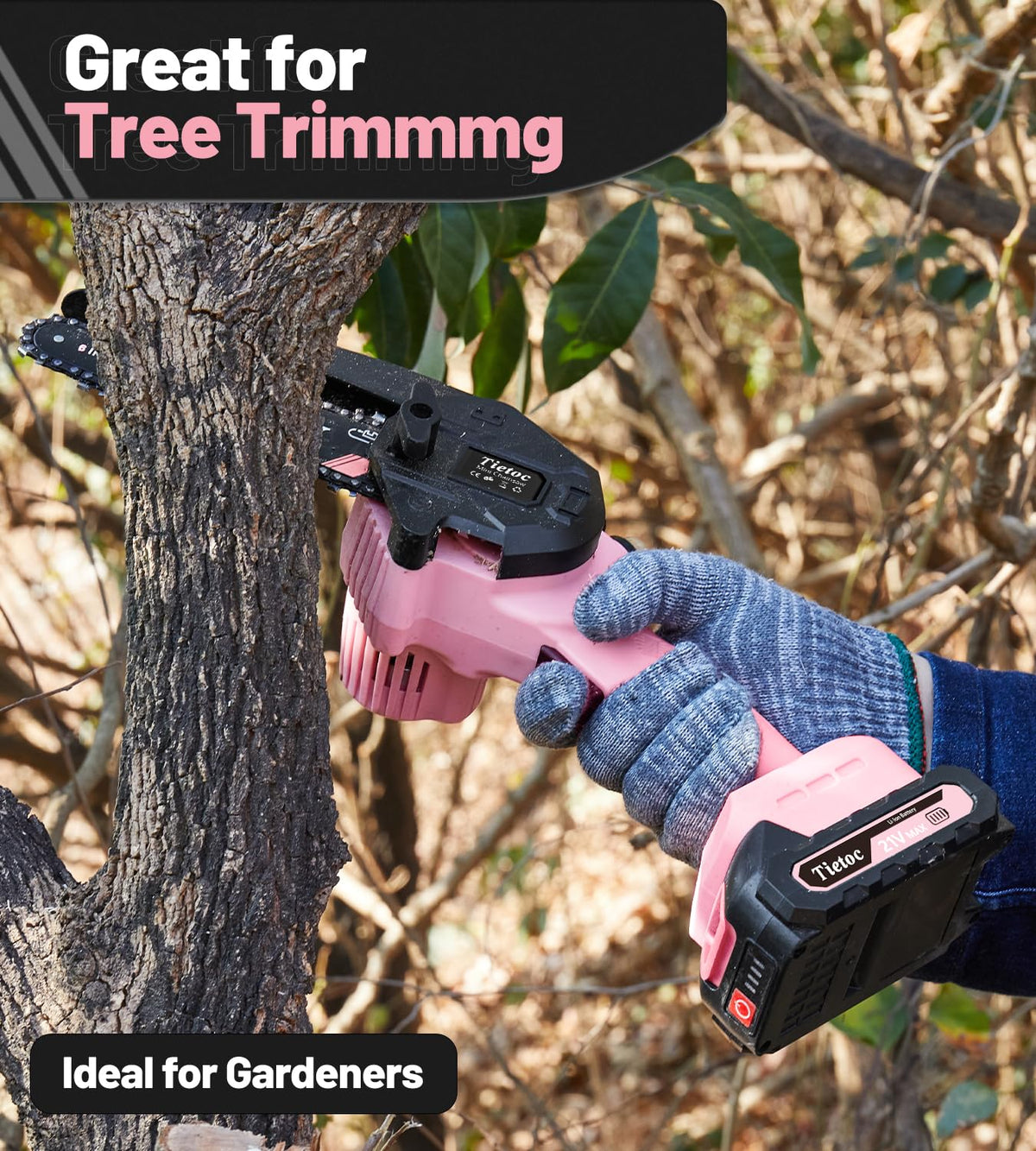 TIETOC 2-in-1 Brushless Pole Saw for Tree Trimming – 8" Mini Electric Chainsaw with 2×4000mAh Batteries, Auto Oiling, Tool-Free Adjustment,Cordless Battery Powered Saw for Home Garden Branch Cutting Father Jim Norris notebooks