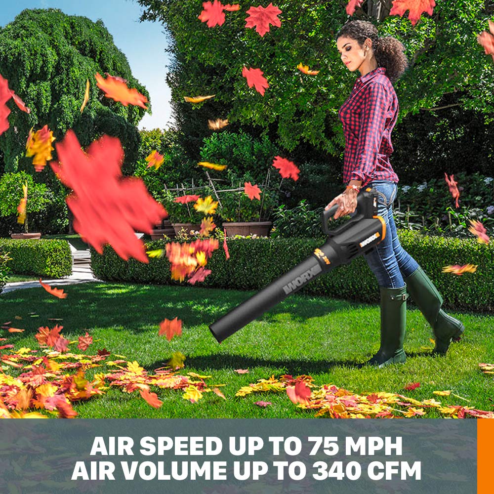 Worx 20V 12" 2-in-1 Cordless String Trimmer & Electric Lawn Edger, WG163.9 Father Jim Norris notebooks