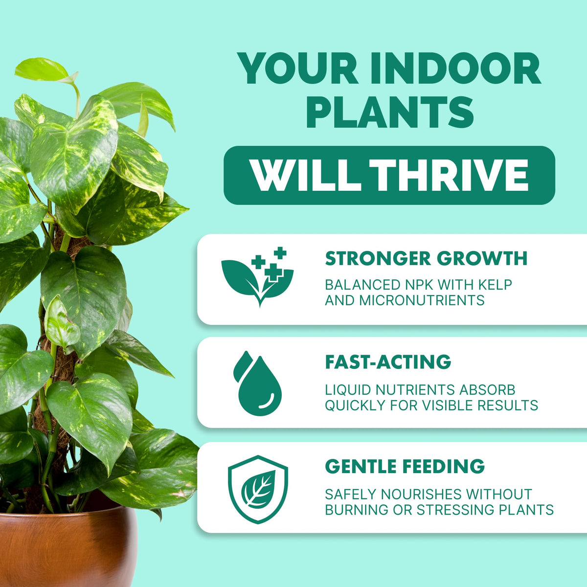 Lemon Tree Fertilizer – Liquid Plant Food for Healthy Growth & Blooms, 8 oz Father Jim Norris notebooks
