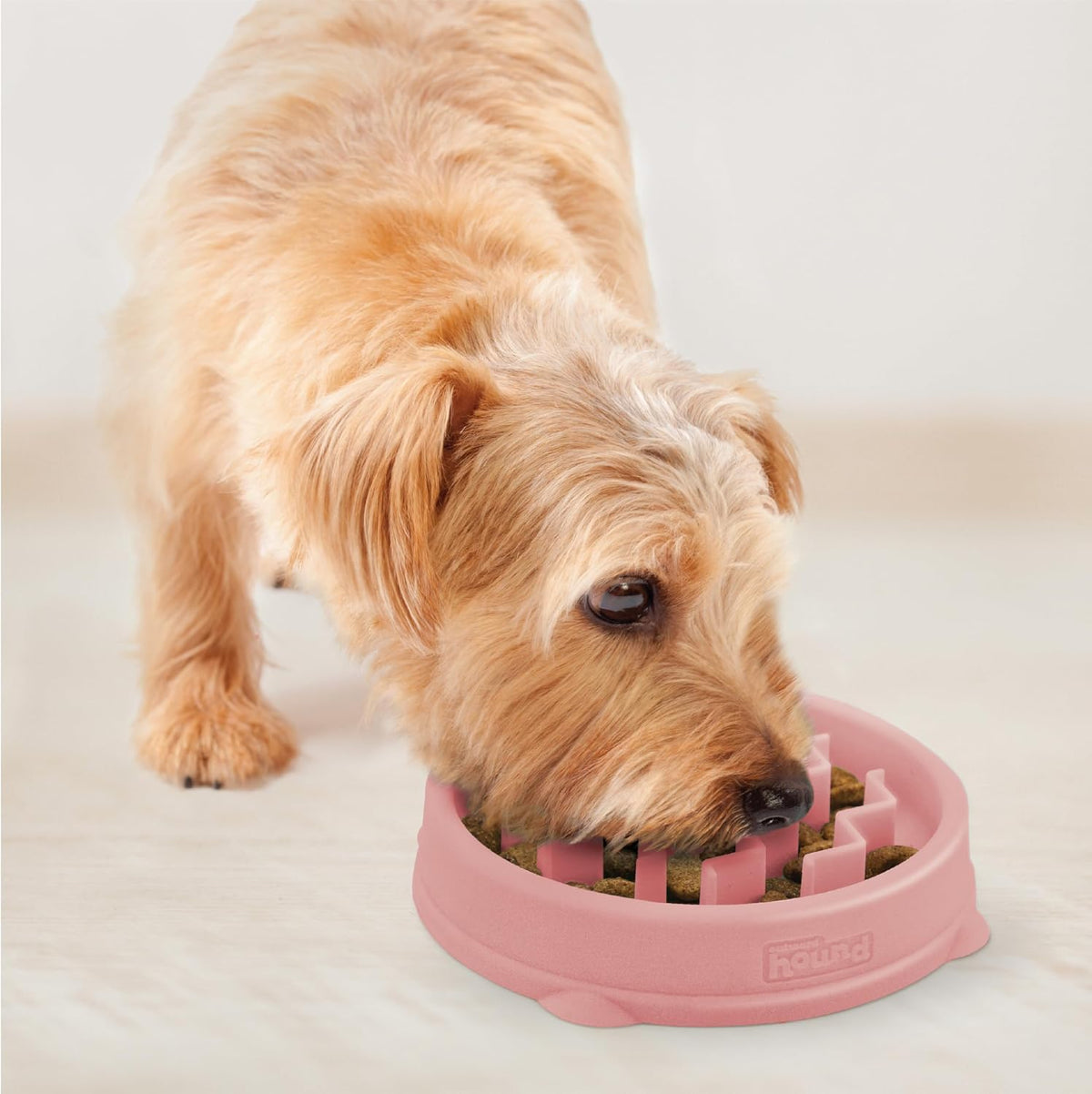 Outward Hound Fun Feeder Slo Bowl Dog Slow Feeder, Notch, Blue, 8.8"