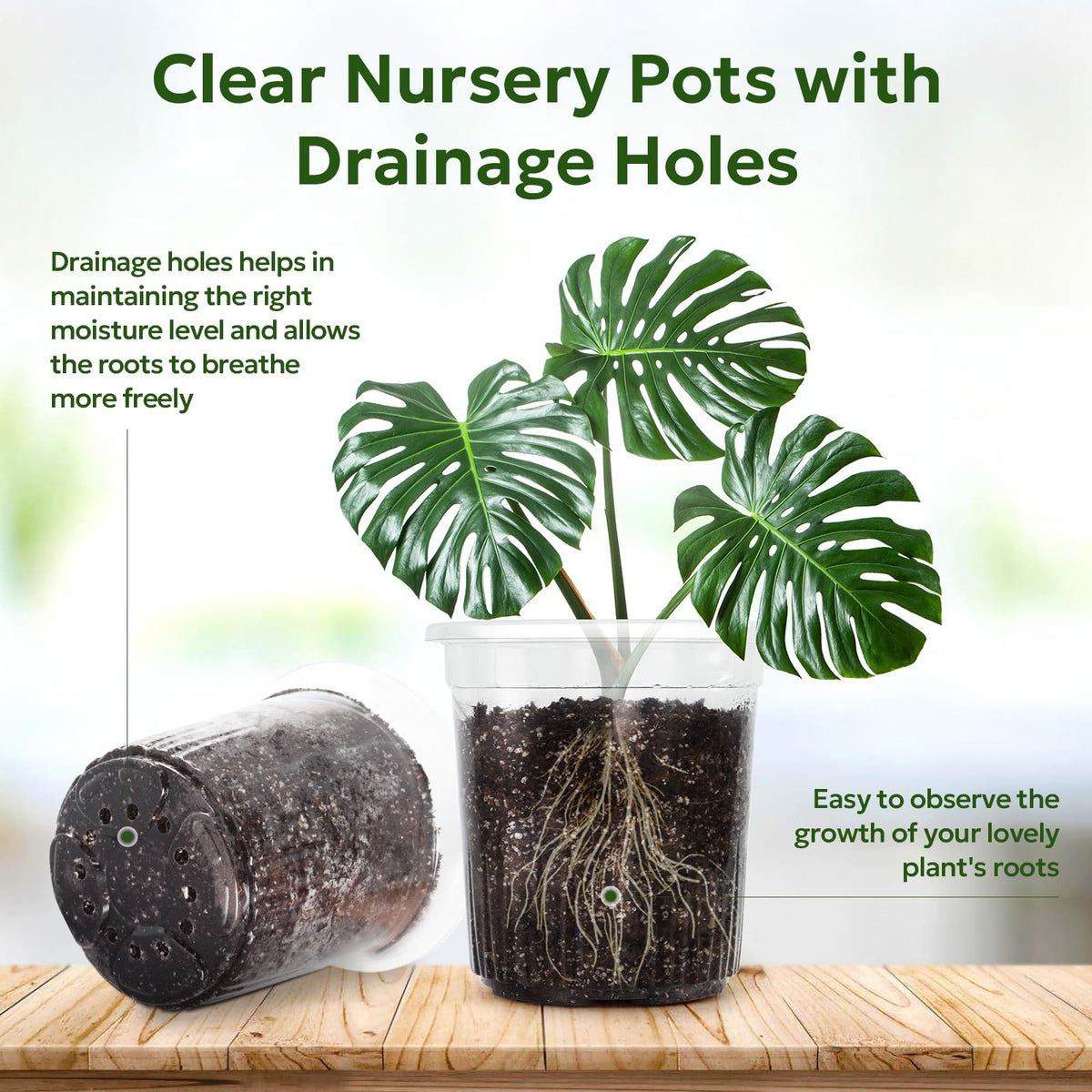 Bluepro Clear Nursery Pots with Humidity Domes, 4 Inch, 30-Pack Father Jim Norris notebooks
