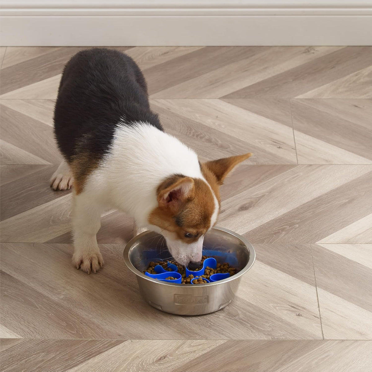 Outward Hound Fun Feeder Slo Bowl Dog Slow Feeder, Notch, Sage, 11.8"