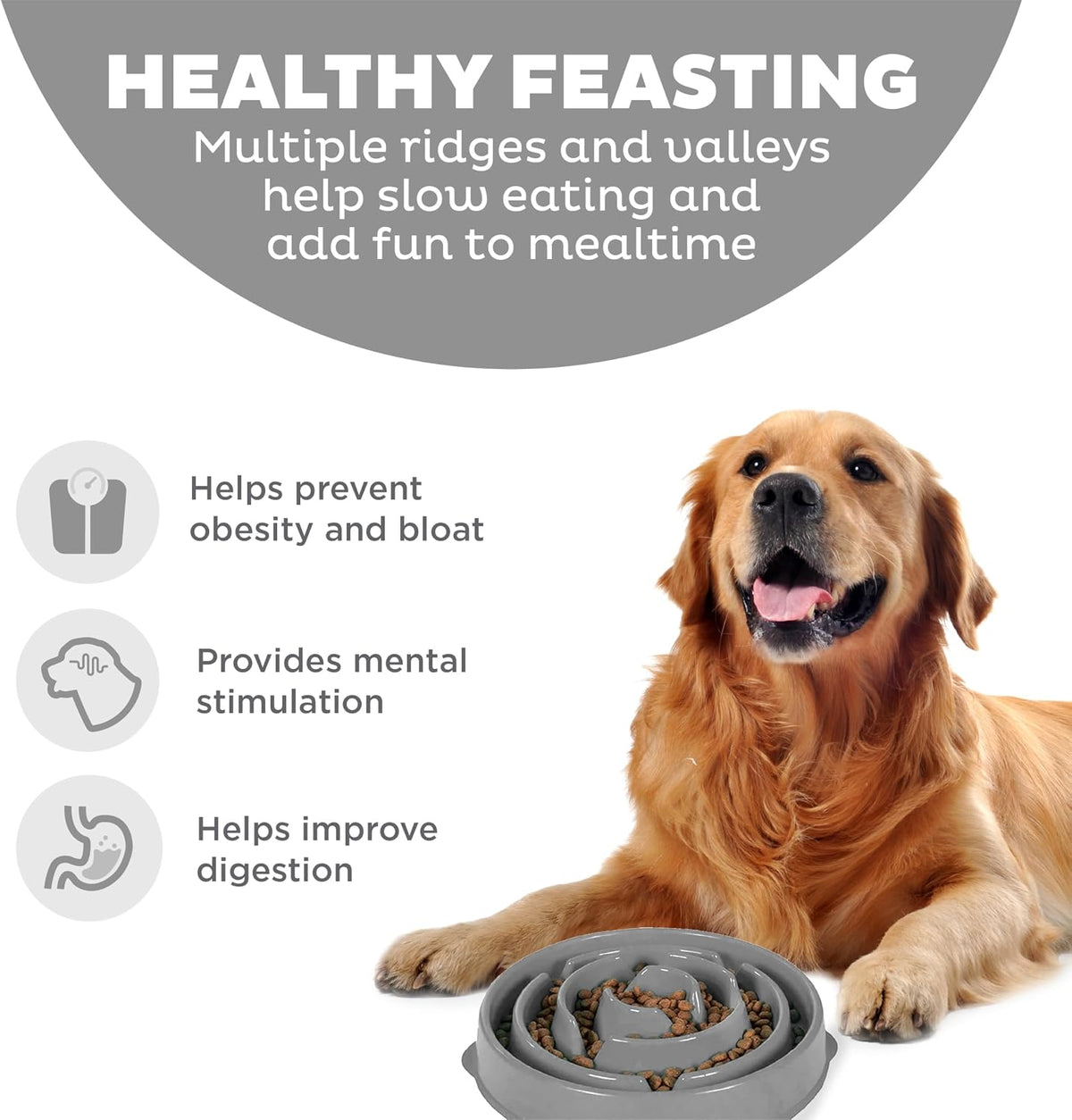 Outward Hound Fun Feeder Slo Bowl Dog Slow Feeder, Notch, Blue, 8.8"