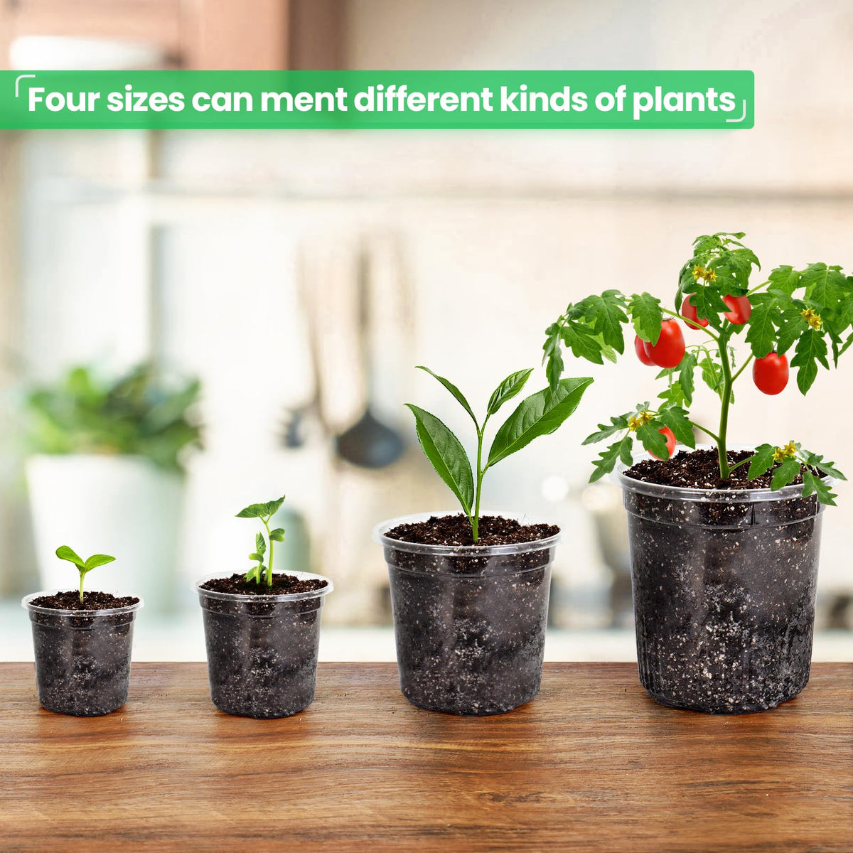 Bluepro Clear Nursery Pots with Humidity Domes, 4 Inch, 30-Pack Father Jim Norris notebooks