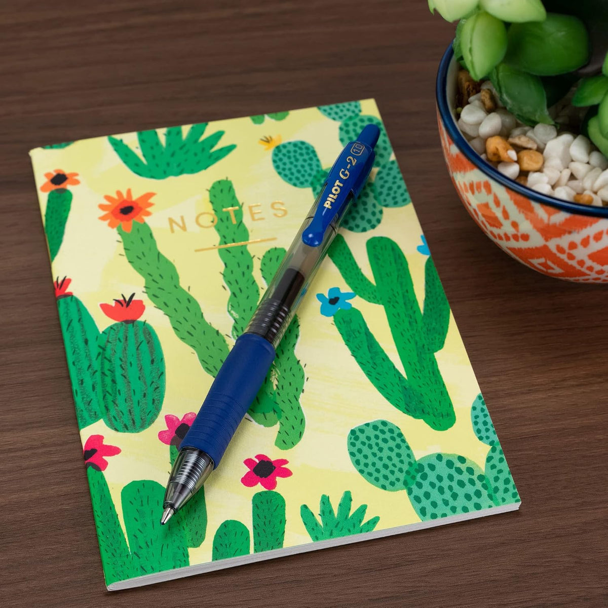 PILOT G2 Premium Gel Pens, Bold Point 1.0mm, Blue Ink, 12-Pack Father Jim Norris notebooks
