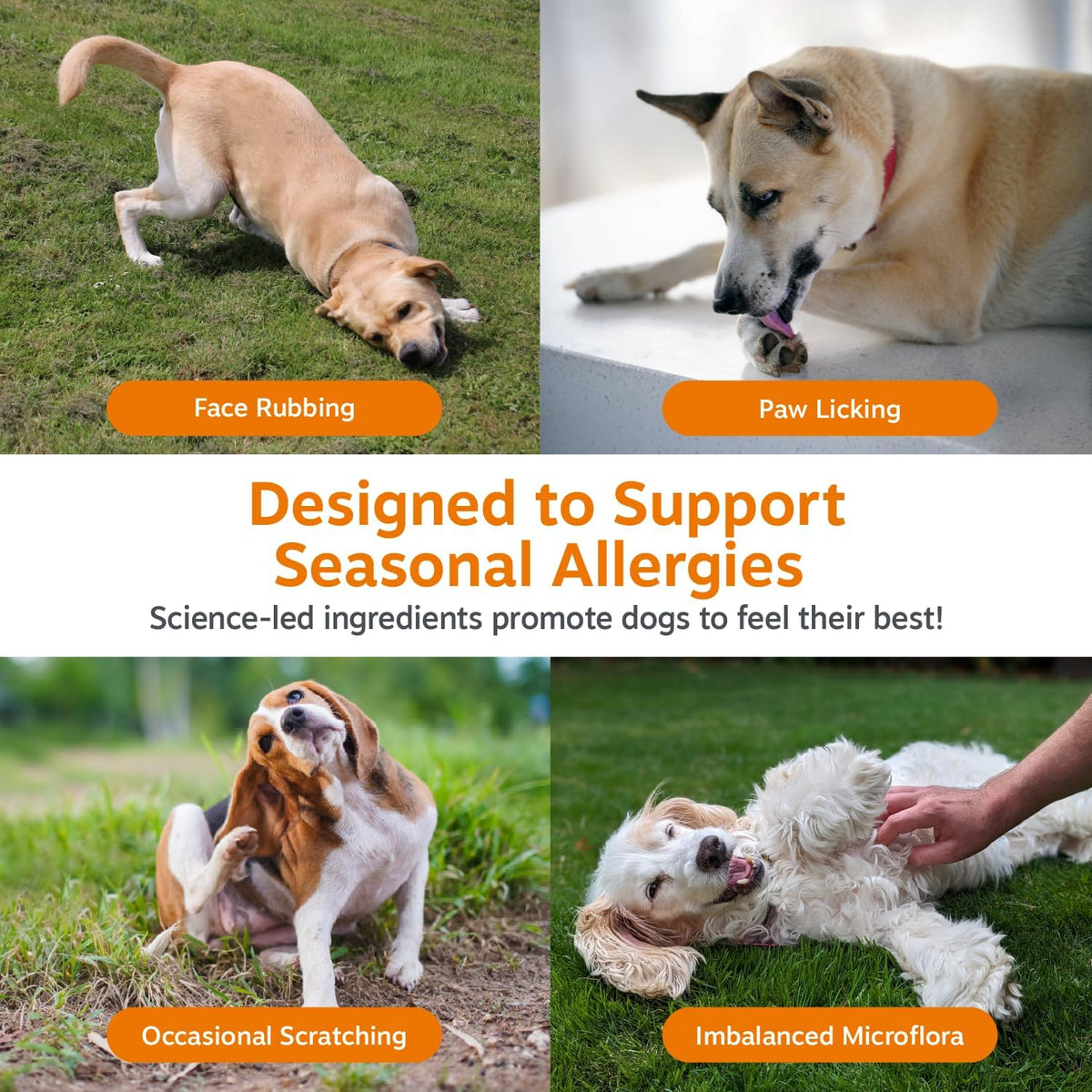 Zesty Paws Dog Allergy Chews - Dog Allergy Relief, Lamb, 90 Ct Father Jim Norris notebooks