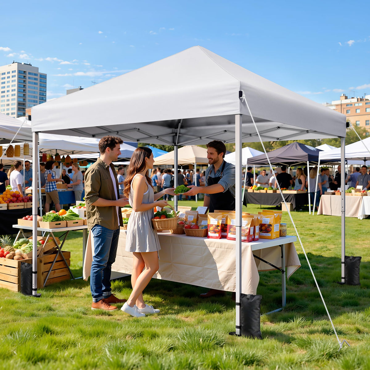 10x10 Pop Up Canopy Tent with One-Push Center Lock,Dark Gray Father Jim Norris notebooks