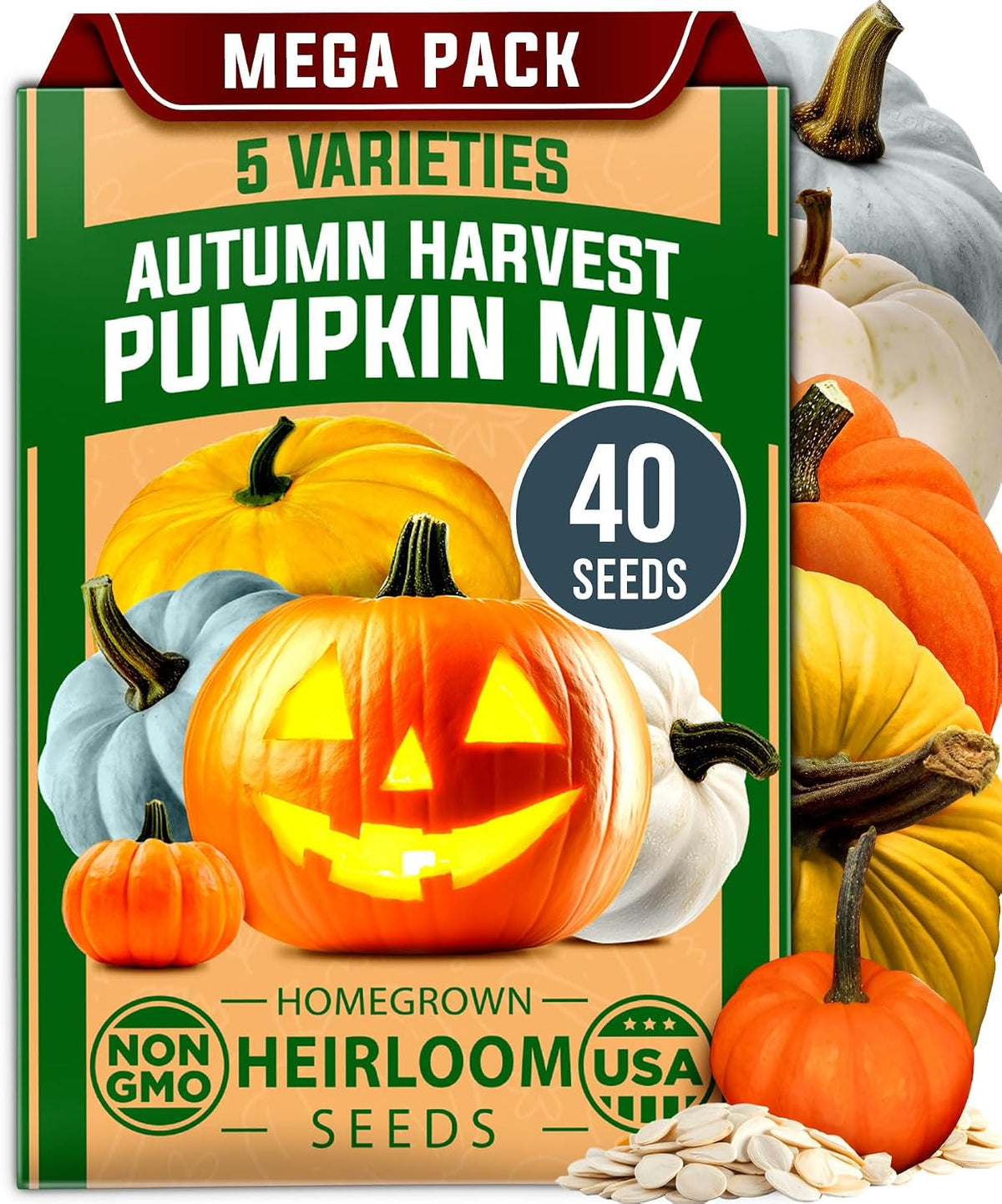 HOME GROWN 15 Herb Seed Variety Kit, 5100+ Seeds, Culinary Herb Kit Father Jim Norris notebooks