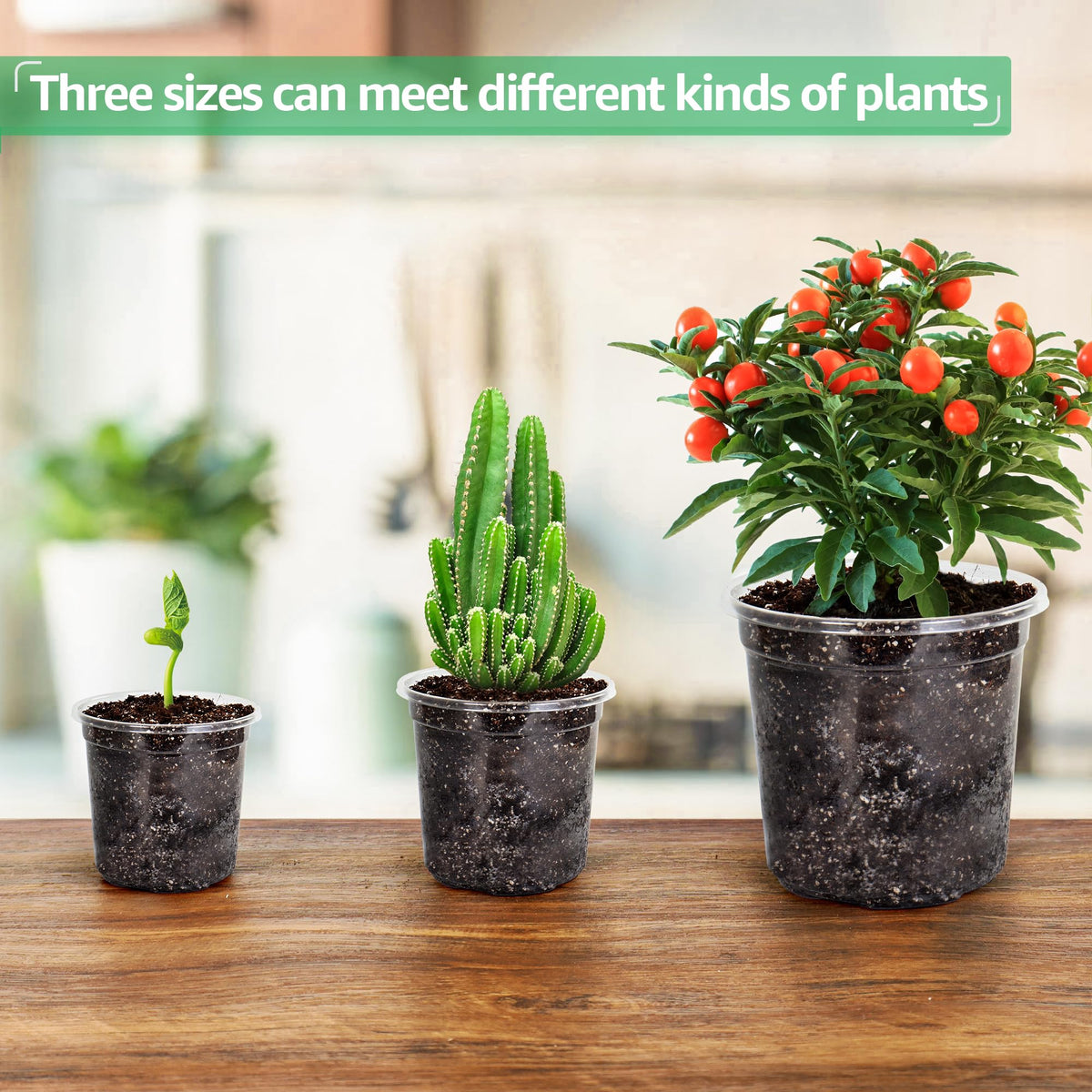 Bluepro Clear Nursery Pots with Humidity Domes, 4 Inch, 30-Pack Father Jim Norris notebooks