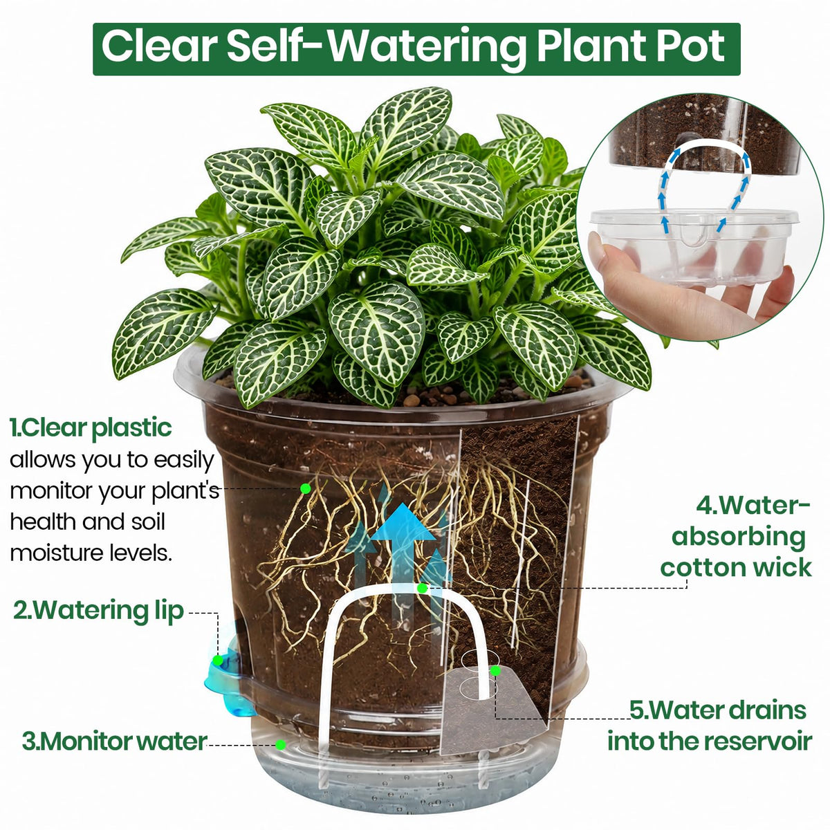 Bluepro Clear Nursery Pots with Humidity Domes, 4 Inch, 30-Pack Father Jim Norris notebooks