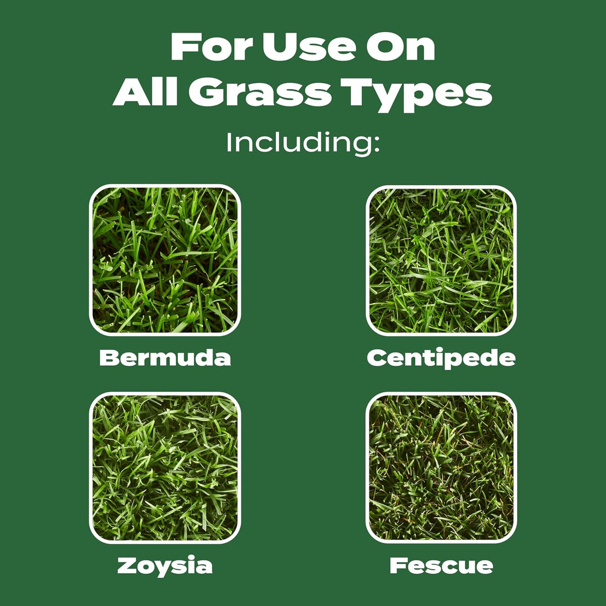 Scotts Turf Builder Lawn Food, 37.50 lbs. Father Jim Norris notebooks
