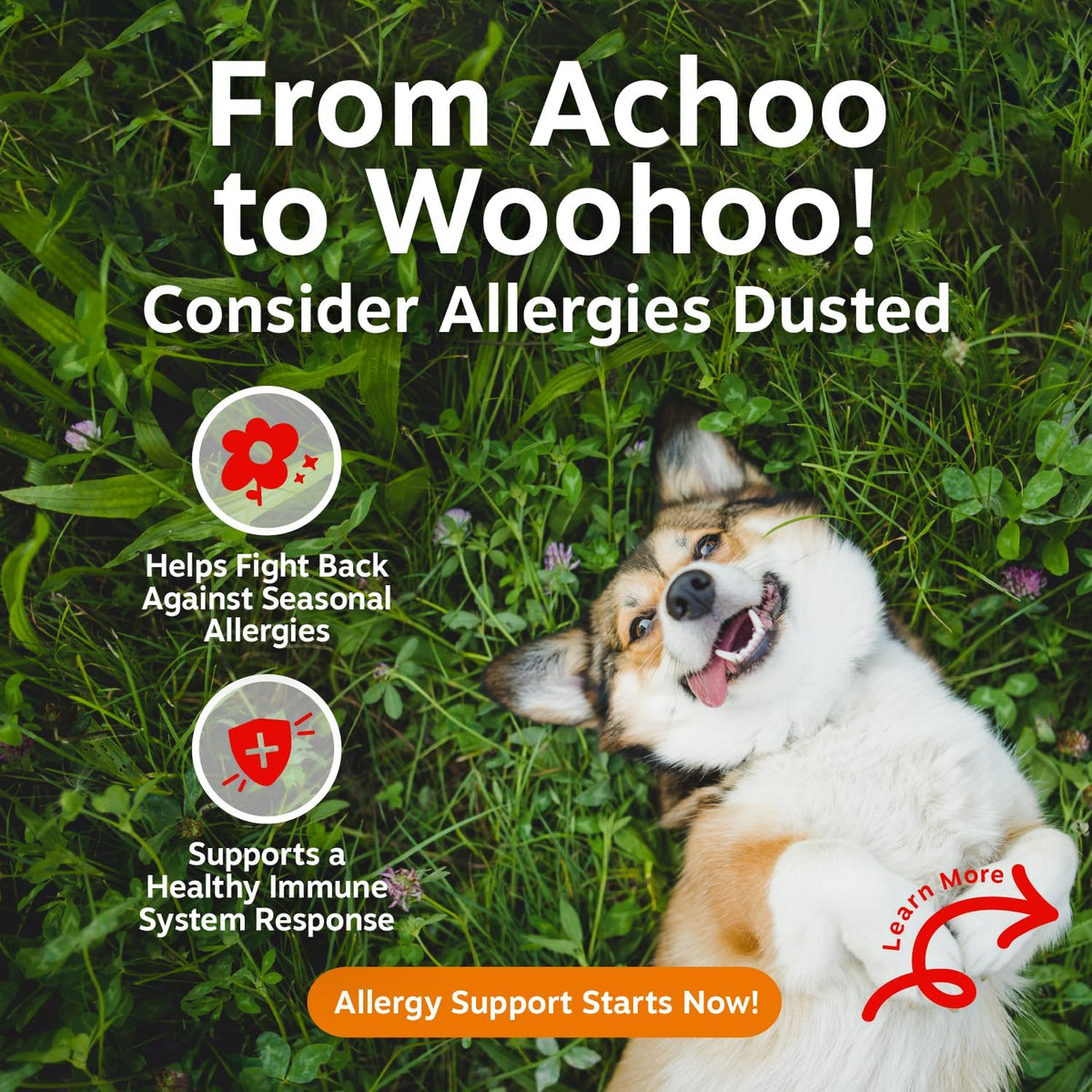 Zesty Paws Dog Allergy Chews - Dog Allergy Relief, Lamb, 90 Ct Father Jim Norris notebooks