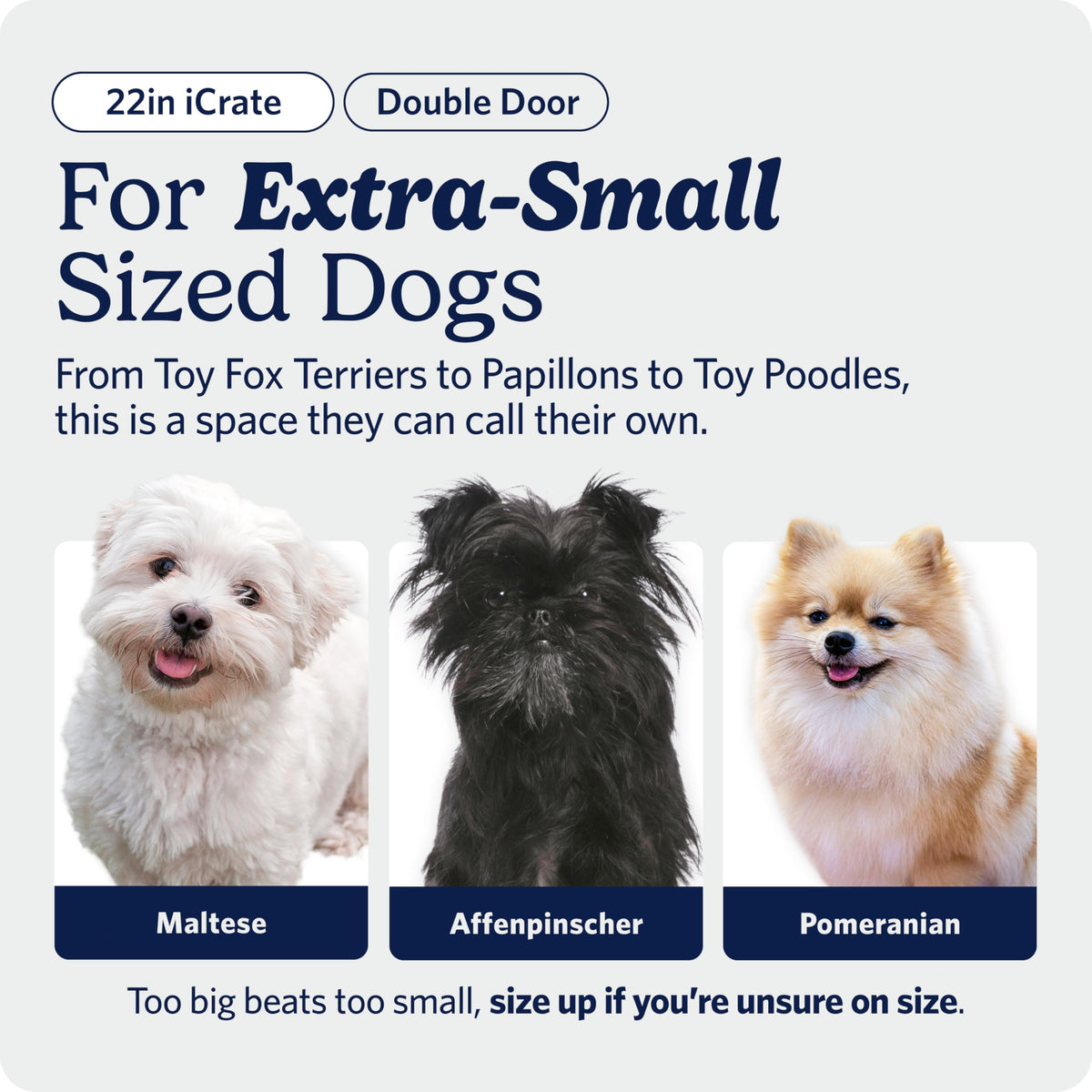 Midwest 36-Inch Single Door iCrate, for Medium-Large Breeds, 41-70 lbs