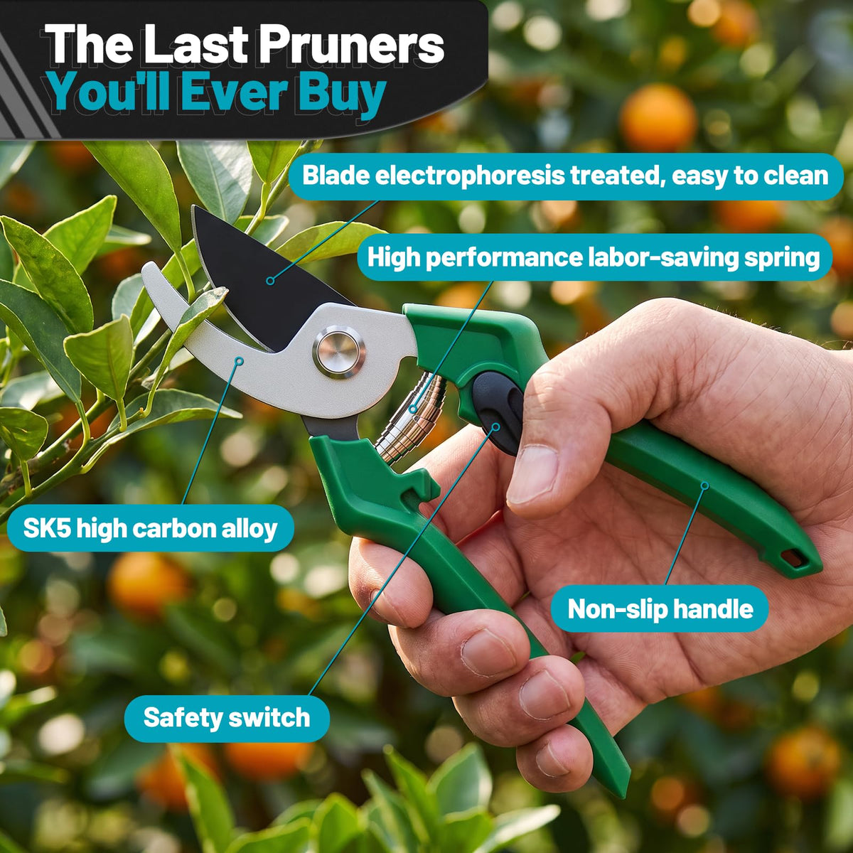 TIETOC 2-in-1 Brushless Pole Saw for Tree Trimming – 8" Mini Electric Chainsaw with 2×4000mAh Batteries, Auto Oiling, Tool-Free Adjustment,Cordless Battery Powered Saw for Home Garden Branch Cutting Father Jim Norris notebooks