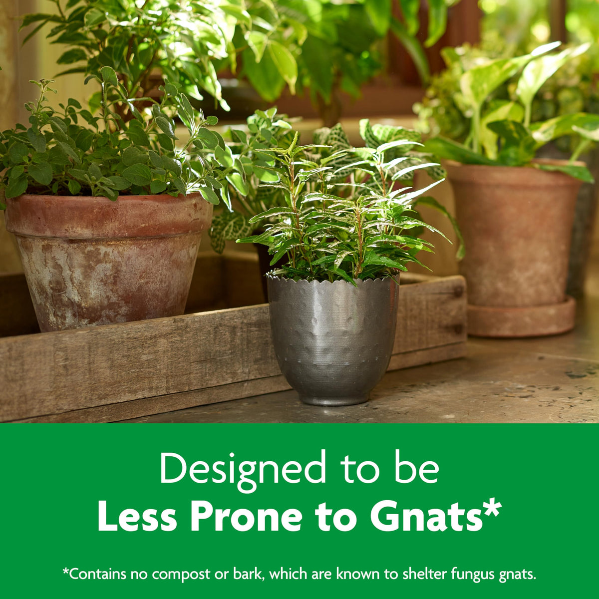 Miracle-Gro Indoor Plant Grow, Feed & Protect Houseplant Care Bundle Father Jim Norris notebooks