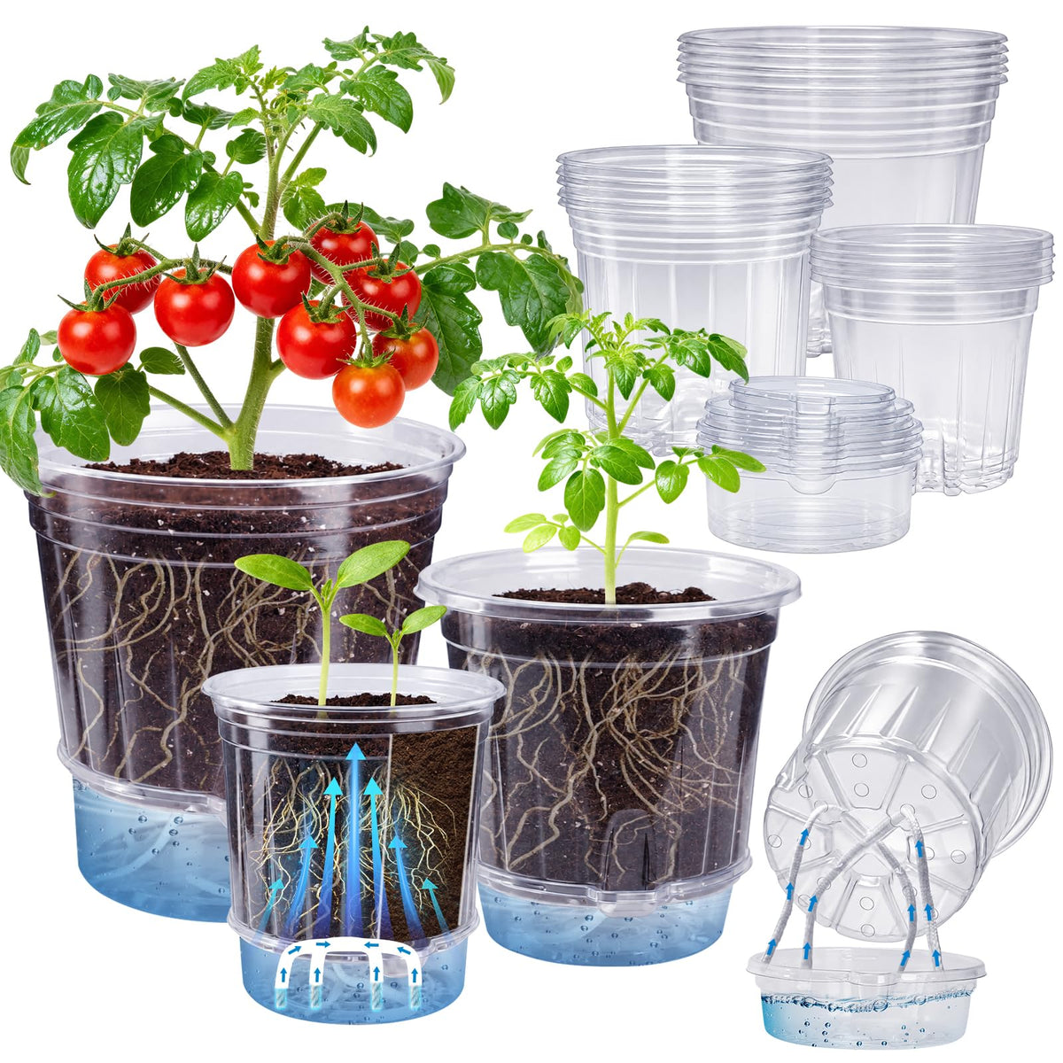 Bluepro Clear Nursery Pots with Humidity Domes, 4 Inch, 30-Pack Father Jim Norris notebooks