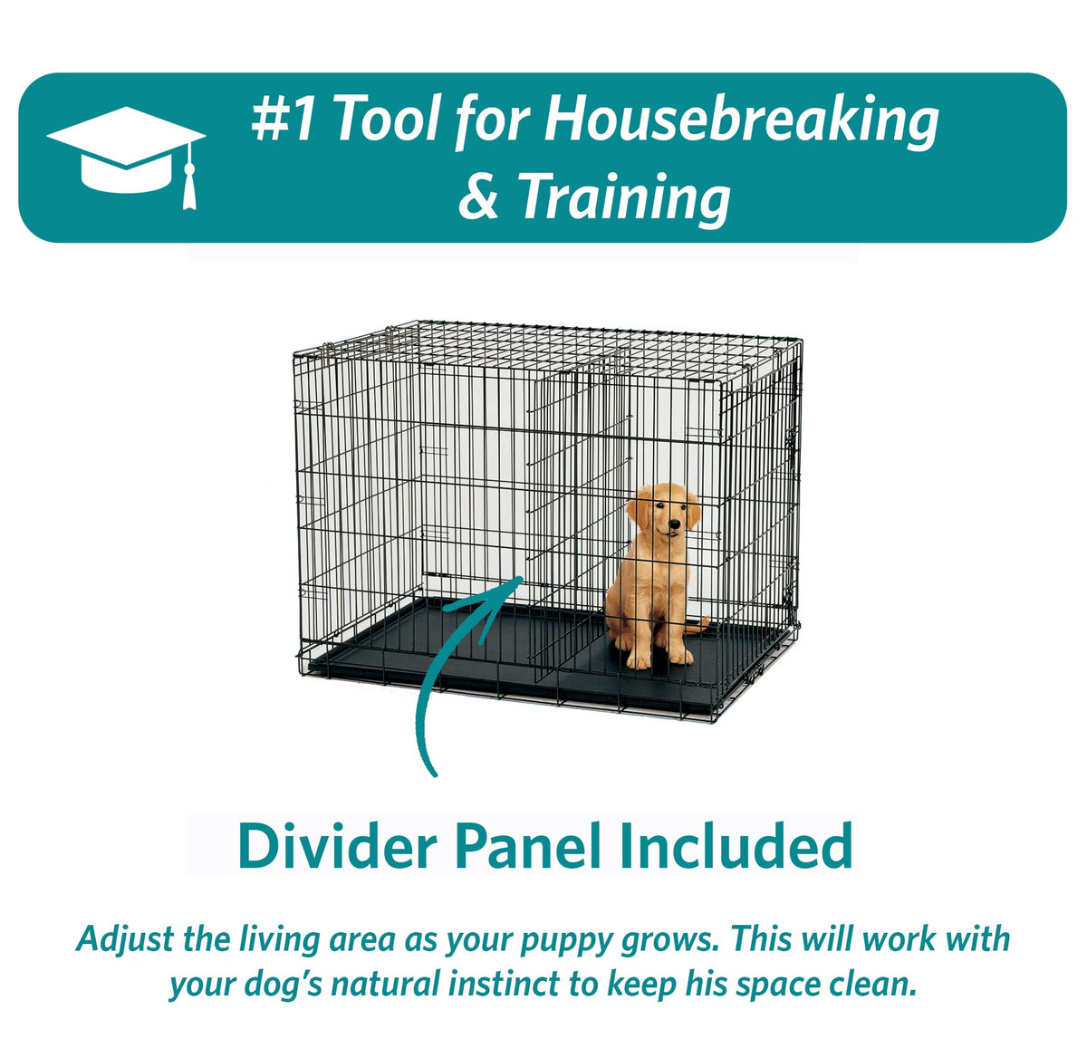 Midwest 36-Inch Single Door iCrate, for Medium-Large Breeds, 41-70 lbs