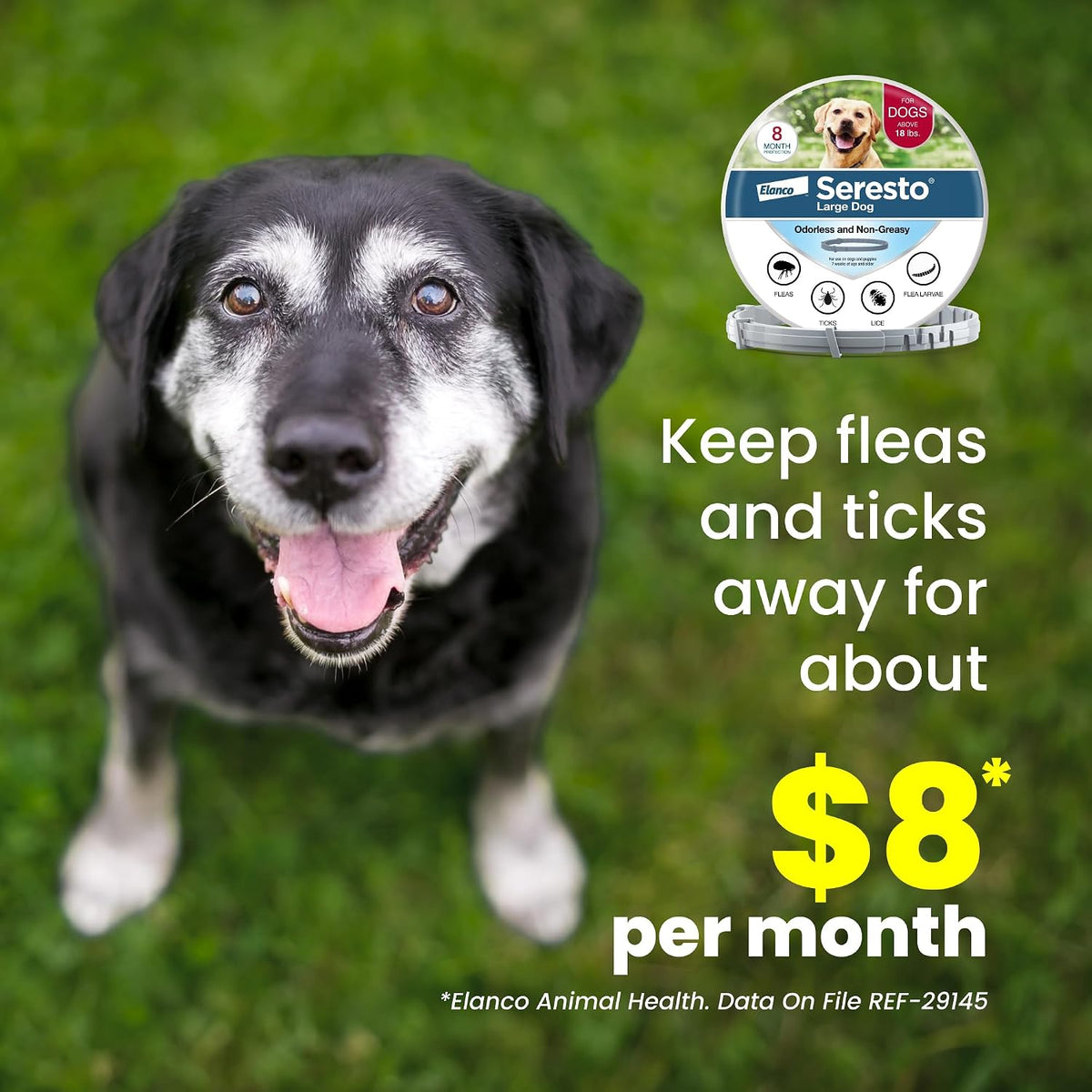 Seresto 8-Month Flea & Tick Collar for Large Dogs Over 18 lbs., 1ct