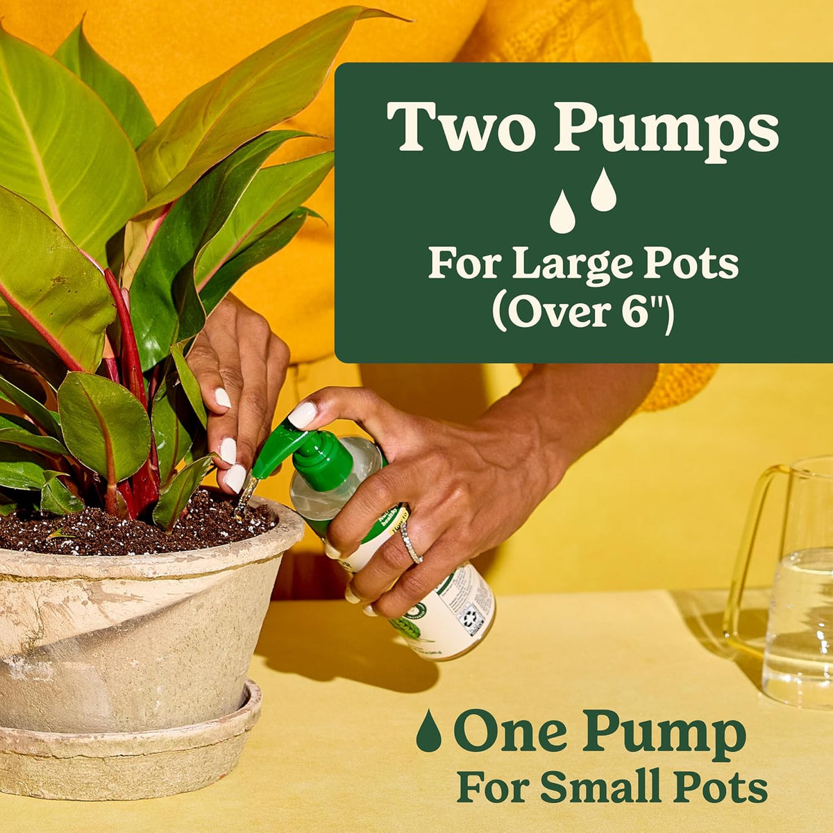 Miracle-Gro Indoor Plant Grow, Feed & Protect Houseplant Care Bundle Father Jim Norris notebooks