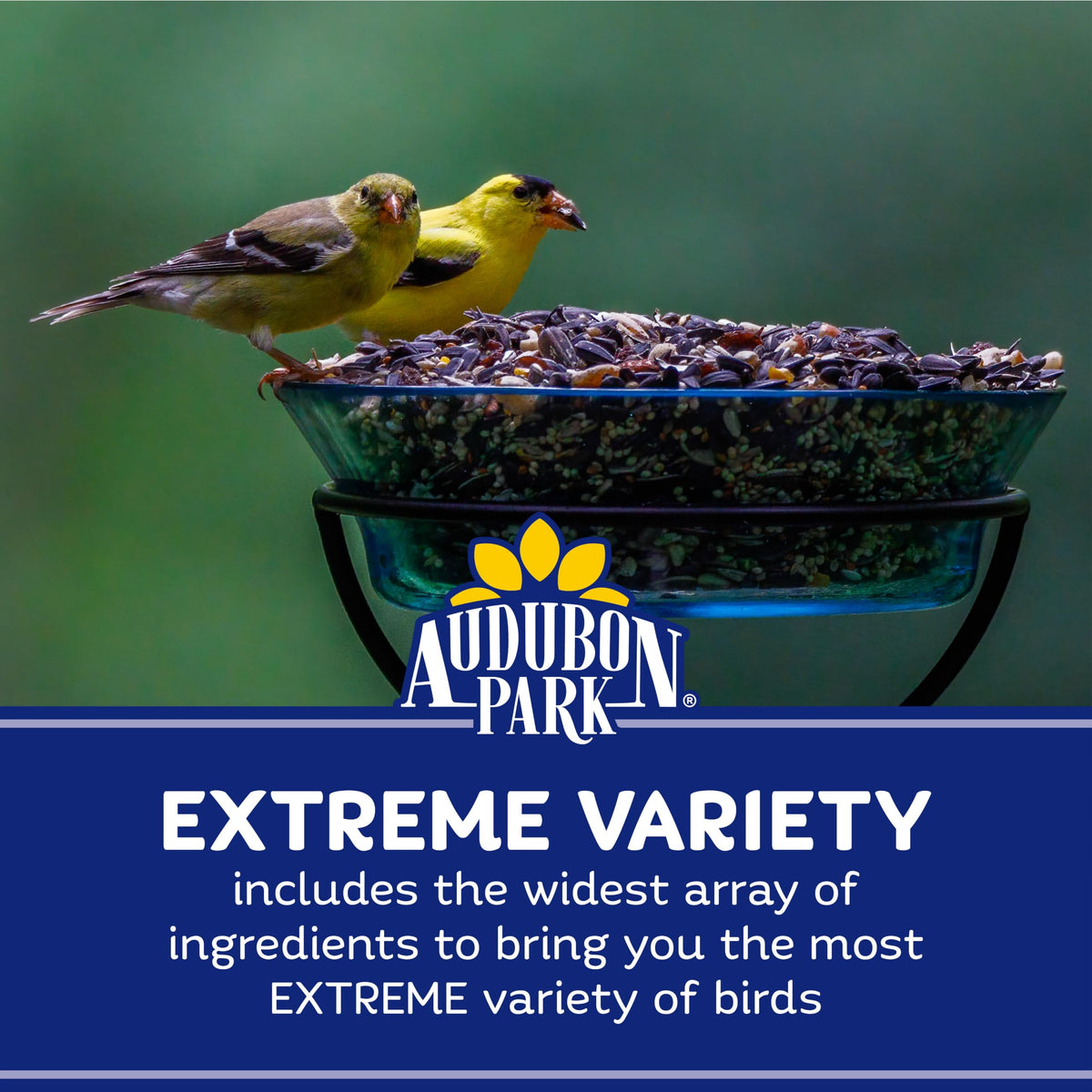 Audubon Park Extreme Variety Wild Bird Seed for Outside Feeders, 15-lb. Bag Father Jim Norris notebooks