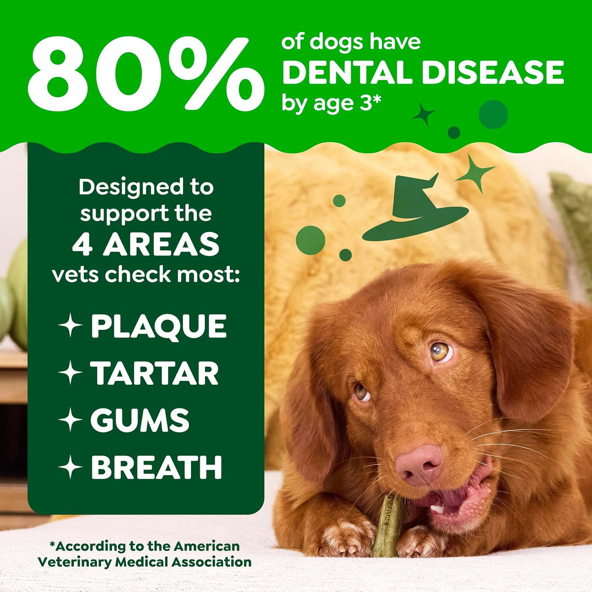 Greenies Teenie Original Natural Dental Dog Treats, Chicken, 96 Count Father Jim Norris notebooks