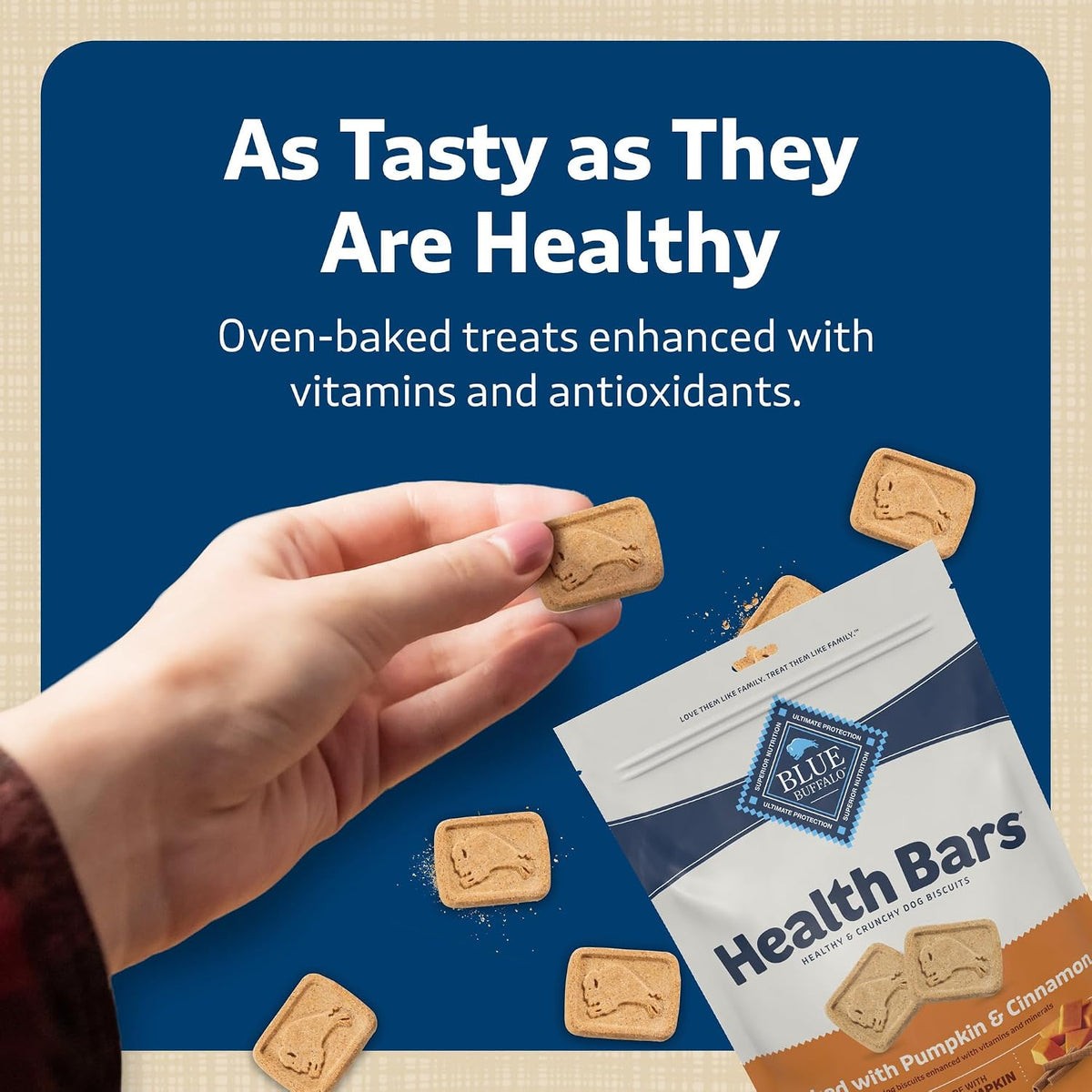 Blue Buffalo Health Bars Pumpkin & Cinnamon Dog Biscuits, 16 oz Father Jim Norris notebooks
