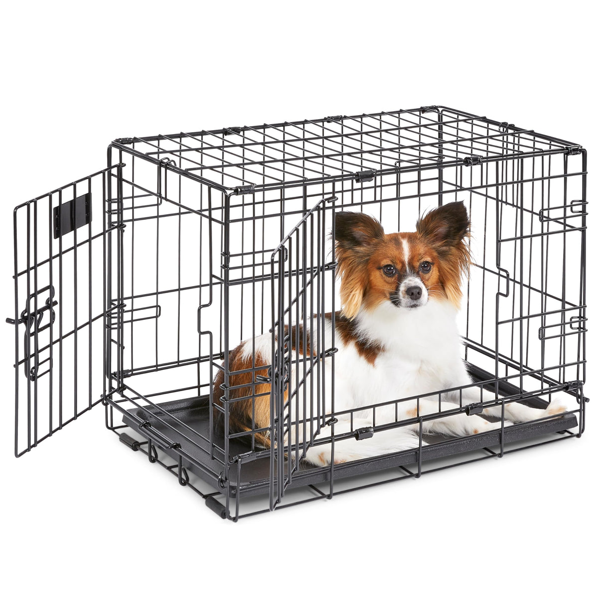 Midwest 36-Inch Single Door iCrate, for Medium-Large Breeds, 41-70 lbs